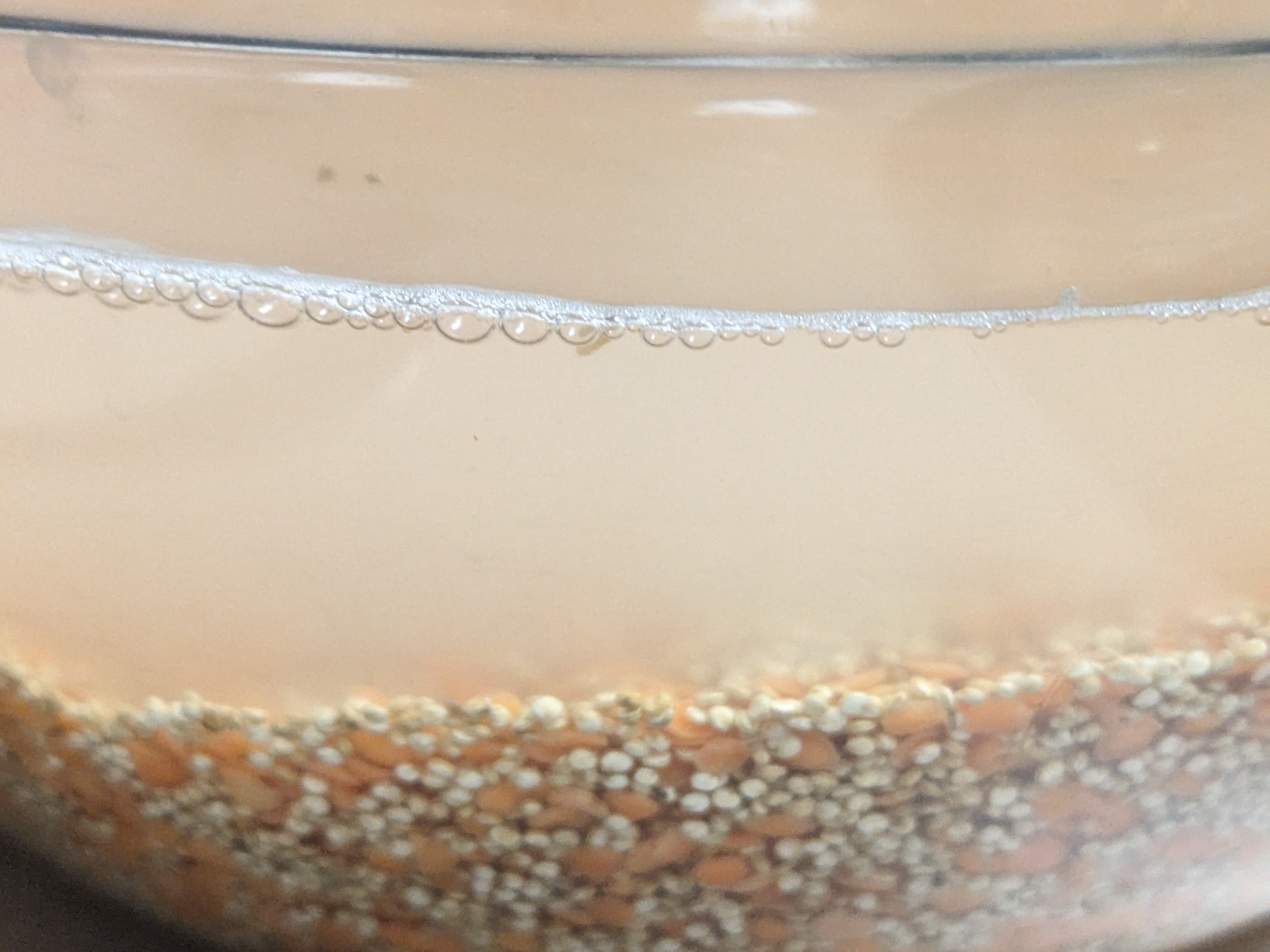 Soaking lentils and quinoa